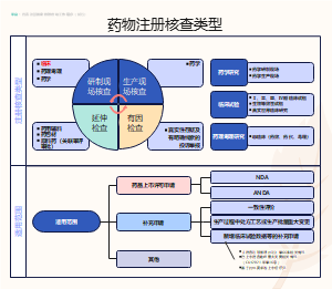 药物注册核查类型