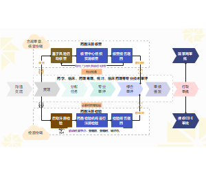 药品注册核查和检验程序