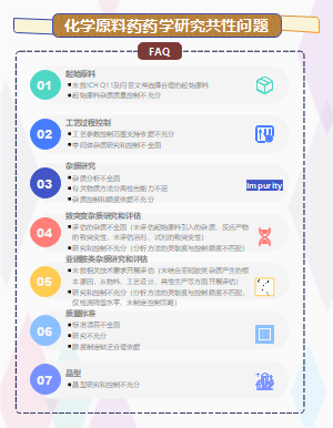 化学原料药药学研究共性问题
