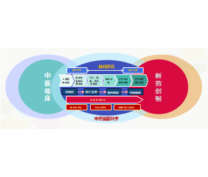 中医临床经验向中药新药创制转化路径