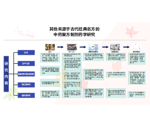 其他来源于古代经典名方中药复方制剂药学研究