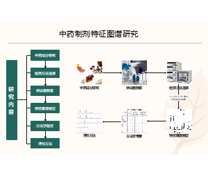 中药制剂特征图谱研究