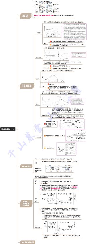 光合作用（二）