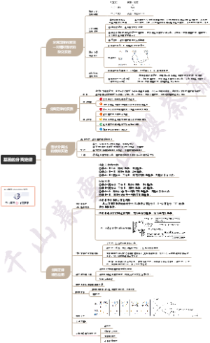 基因的分离定律