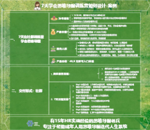 7天学会思维导图训练营如何设计-案例？