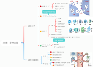 26策：薪尽火传