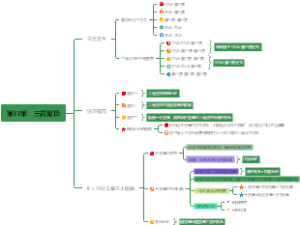 第33策：三花聚顶