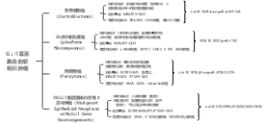 GLI1基因融合的软组织肿瘤
