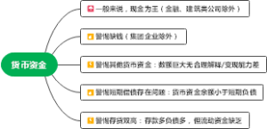 资产-货币资金-上市公司财报要点及排雷指南思维导图