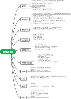 布鲁氏杆菌病--传染病学
