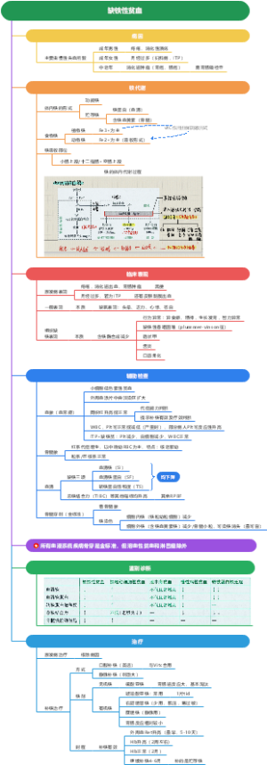 内科学——血液系统——缺铁性贫血