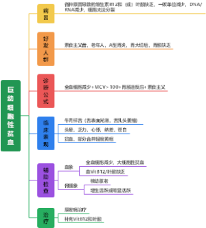 内科学——血液系统——巨幼细胞性贫血