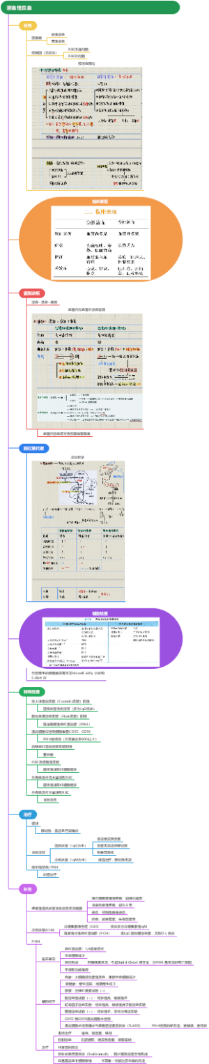 内科学——血液——溶血性贫血
