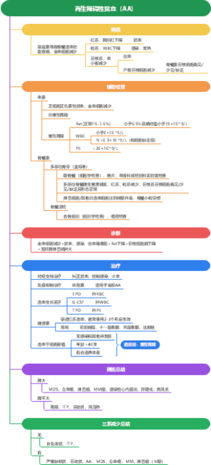 内科学——血液——再生障碍性贫血（AA）