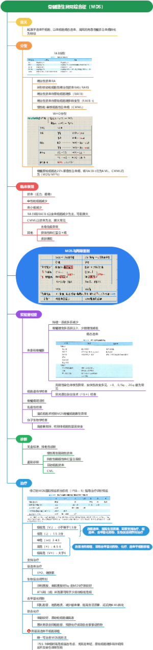内科学——血液——骨髓增生异常综合症（MDS）