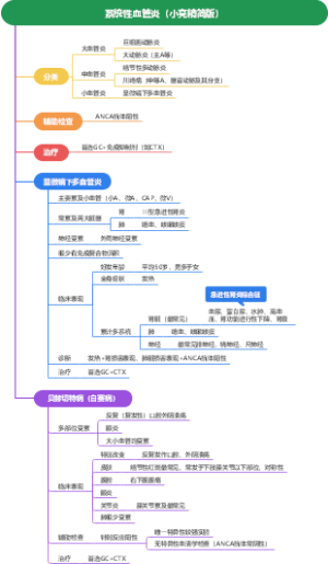 内科学 系统性血管炎