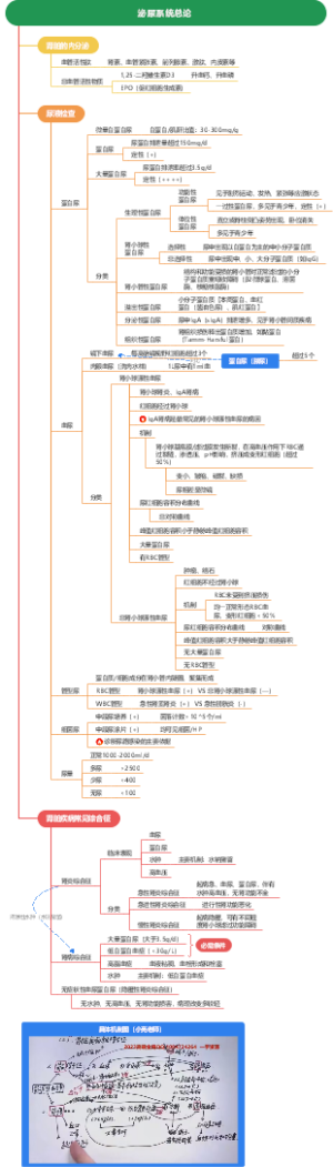 内科学 泌尿系统总论