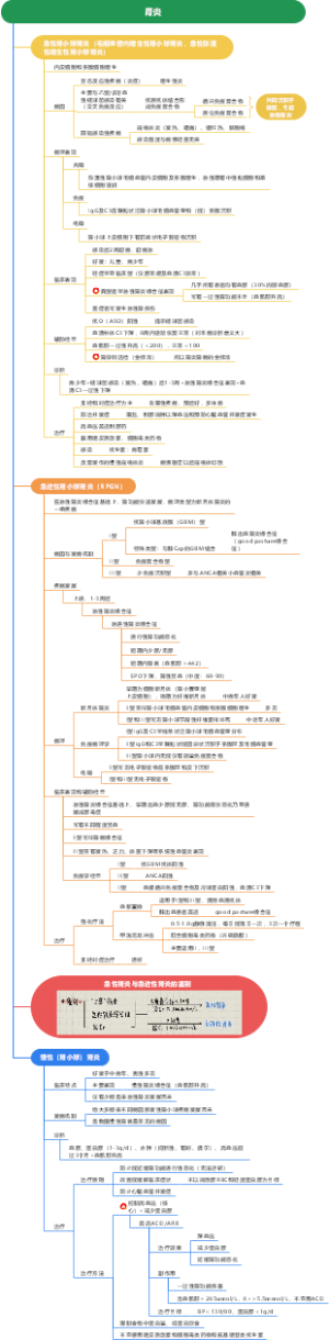 内科学 肾炎