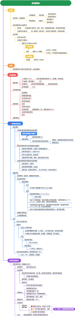 内科学 尿路感染