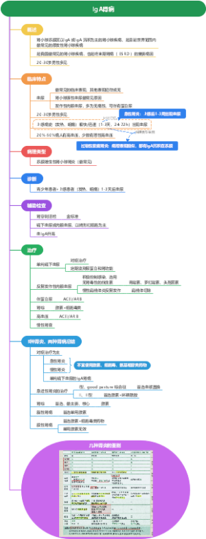 内科学 IgA肾病