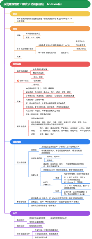 内科学 原发性慢性肾上腺皮质功能减退症（Addison病）