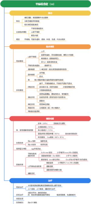 内科学 干燥综合征（ss）