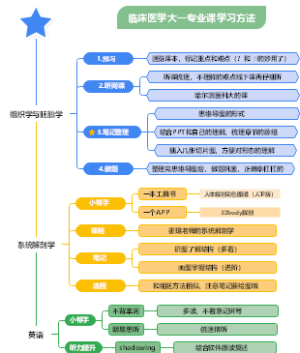 临床医学大一专业课方法必读