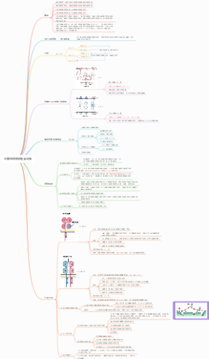 免疫-第八章主要组织相容性复合体
