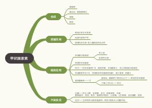 药理学-甲状腺激素
