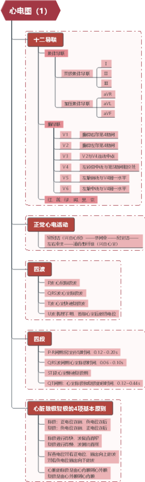 诊断学：心电图（1）