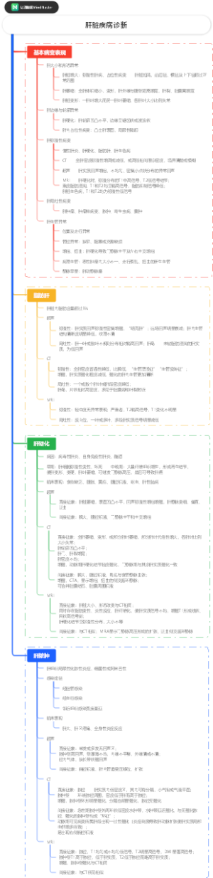 医学影像学：肝脏疾病诊断