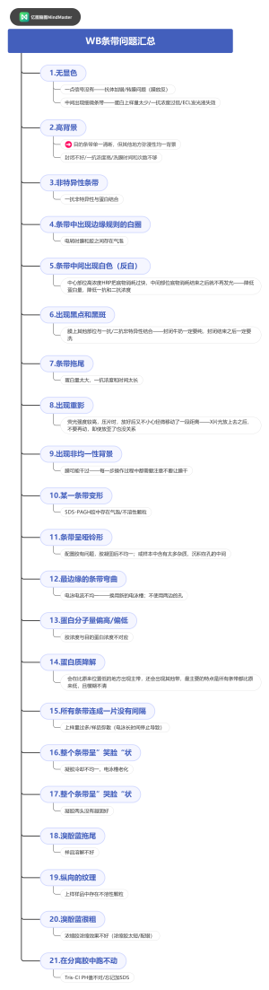 WB条带问题汇总