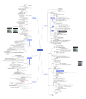 学习及其理论解释