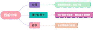 我的由来