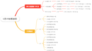 5月31日前目标思维导图