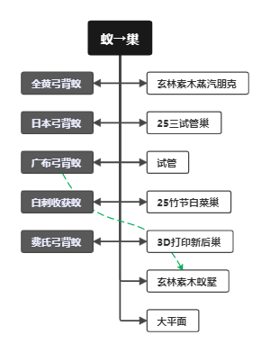 蚁