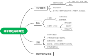 思维导图生物朱海辰