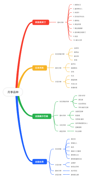 月季品种