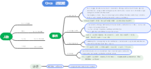 Orca   逆戟鲸