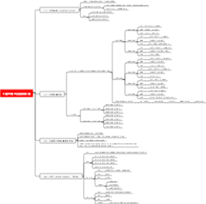 心脏的泵血过程和机制