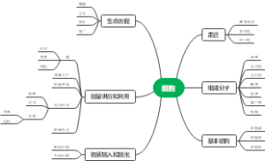 必修一生物思维导图