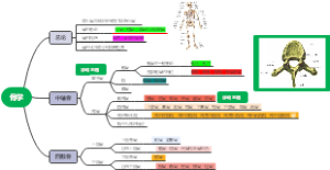 骨学