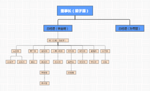 公司人员架构图