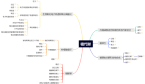 生物化学-糖代谢