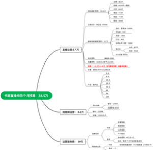 四个月运营预算