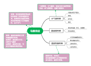 肺部CT马赛克征：原理和意义