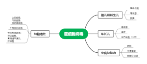 巨细胞病毒的嗜性