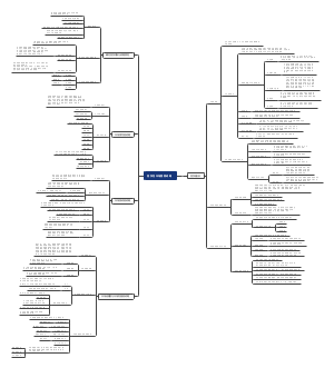 竞争性市场营销战略