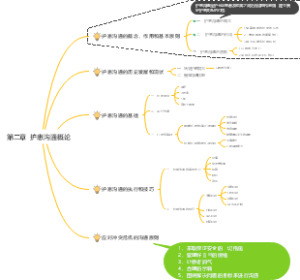 精神障碍护理学 第二章