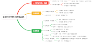 心的生理特性与系统联系